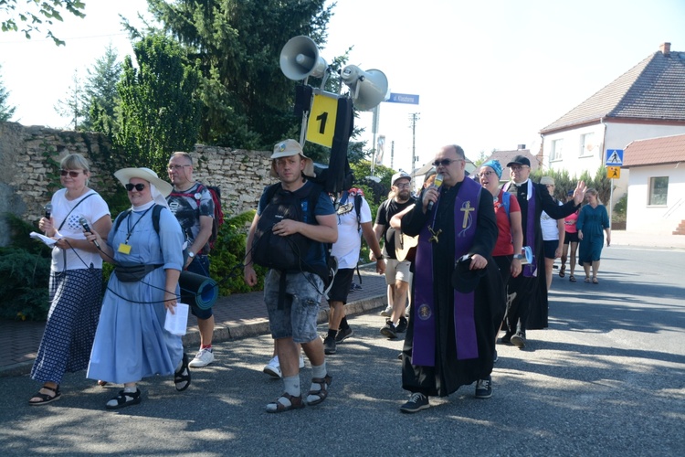 Strumień opolski w Kamieniu Śląskim