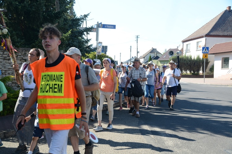 Strumień opolski w Kamieniu Śląskim