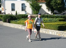Strumień opolski w Kamieniu Śląskim