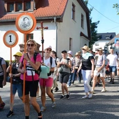 Jedynka pomarańczowa nową grupą w strumieniu opolskim