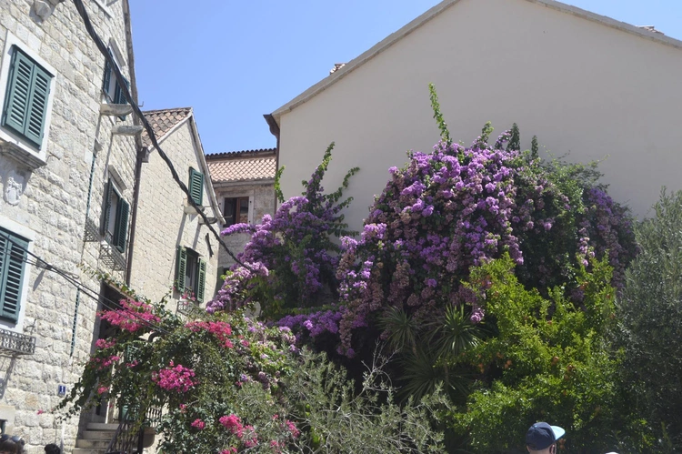 Małopolanie w Chorwacji