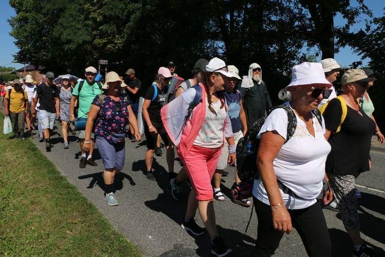 Pielgrzymka 2024. W drodze na Jasną Górę