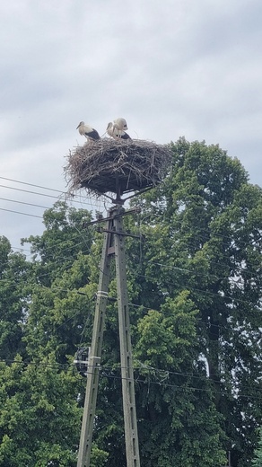 Pustelnia w Sułowie Wielkim w pobliżu Rawicza. Tu się słucha Jego słów