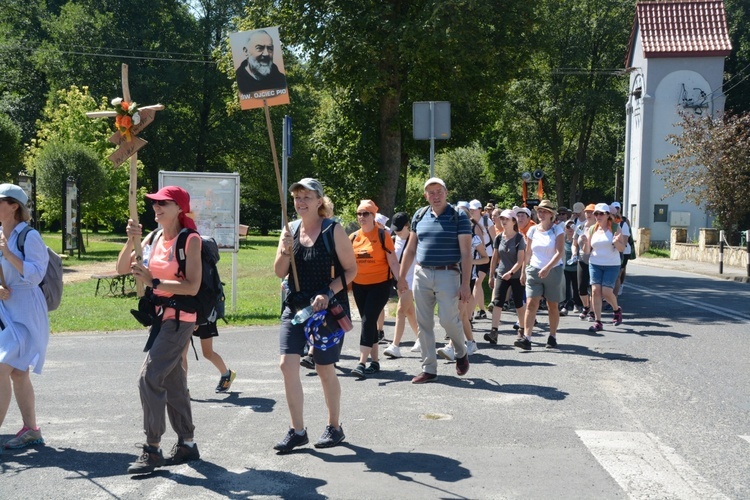 Strumień raciborski w Centawie