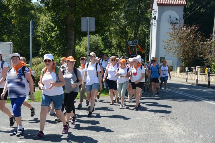 Strumień raciborski w Centawie