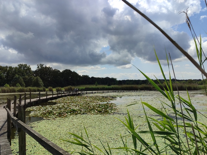 Stradomia Dolna. Odpoczynek w arboretum leśnym