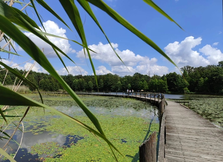 Stradomia Dolna. Odpoczynek w arboretum leśnym