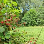 Stradomia Dolna. Odpoczynek w arboretum leśnym