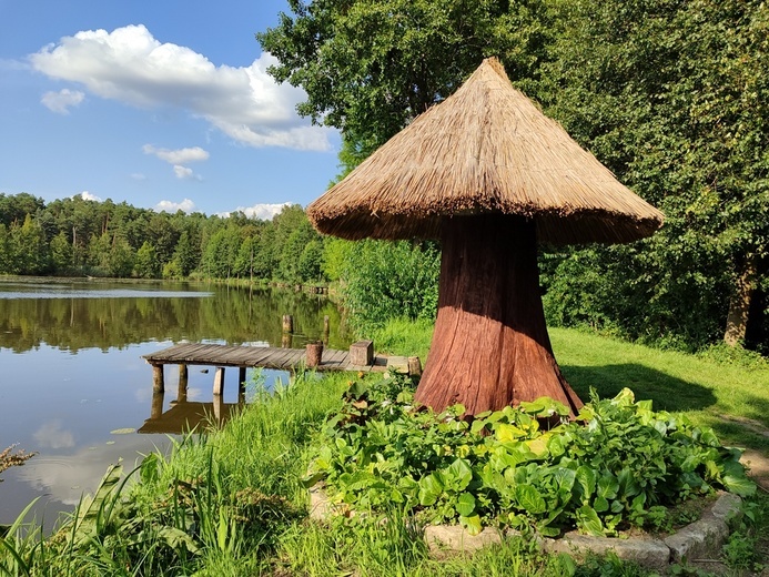 Stradomia Dolna. Odpoczynek w arboretum leśnym