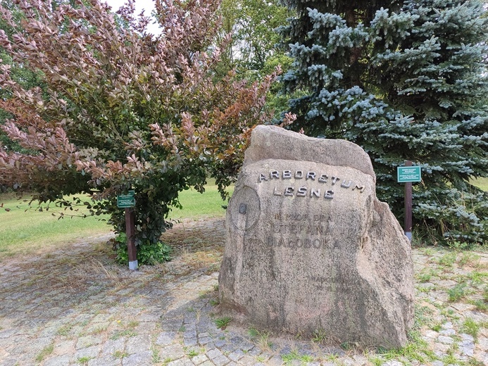 Stradomia Dolna. Odpoczynek w arboretum leśnym