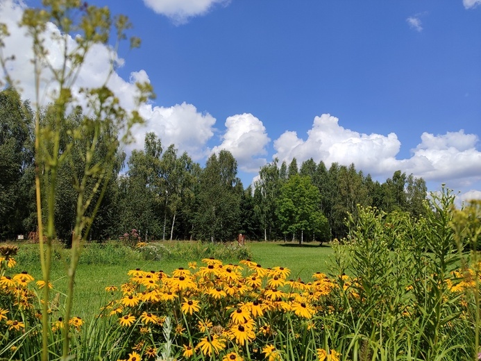 Stradomia Dolna. Odpoczynek w arboretum leśnym