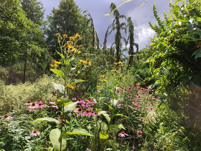 Stradomia Dolna. Odpoczynek w arboretum leśnym