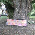 Koncert pod lipą