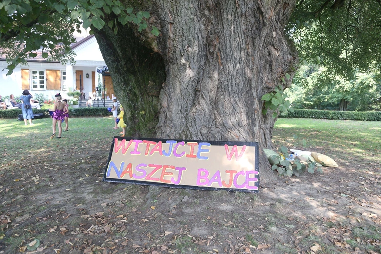 Koncert pod lipą