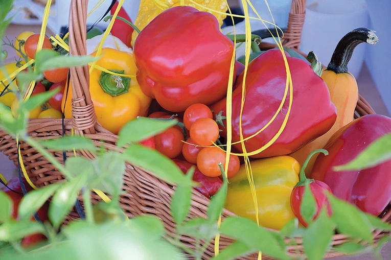 To przede wszystkim skarbnica witaminy C.