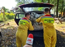 Śląskie. Pilna zbiórka dla Dzierżna i Kanału Gliwickiego