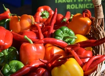 W tej części Polski króluje tylko papryka