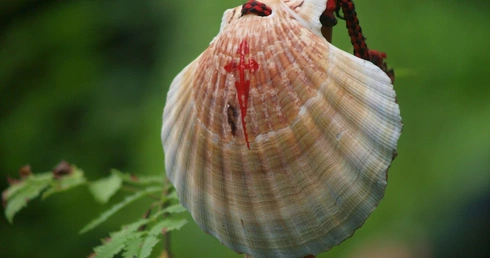 Rowokół camino, czyli pod prąd