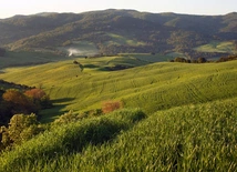 Piękno i tajemnica stworzenia u świętych Karmelu