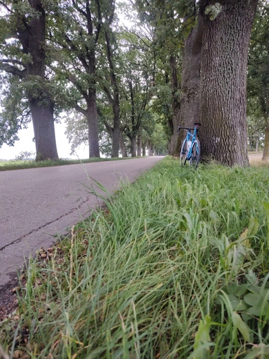 Dookoła Polski dla Filipka