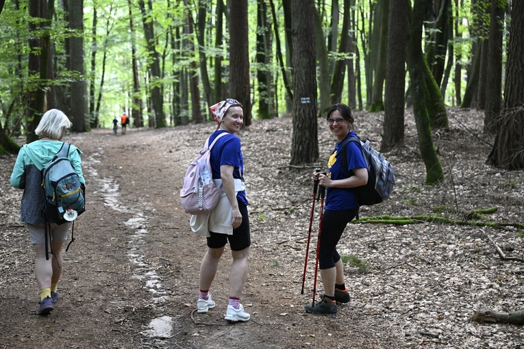Rowokół Camino