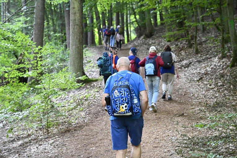 Rowokół Camino