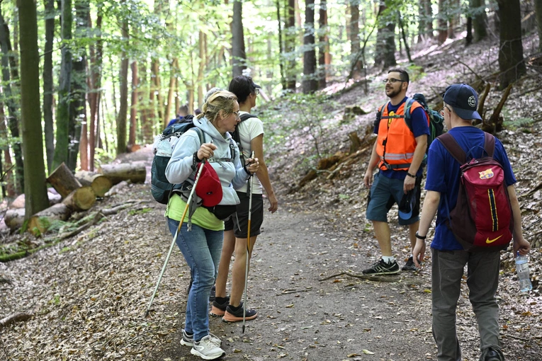 Rowokół Camino