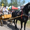 Gmina Czarny Dunajec. Gazdują na całego