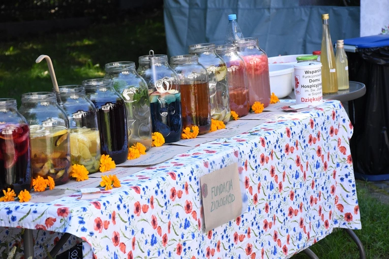 Piknik w ogrodzie hospicyjnym