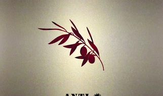 Na dobry początek Anti Babylon System