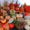 Pomarańczowa doskonałość