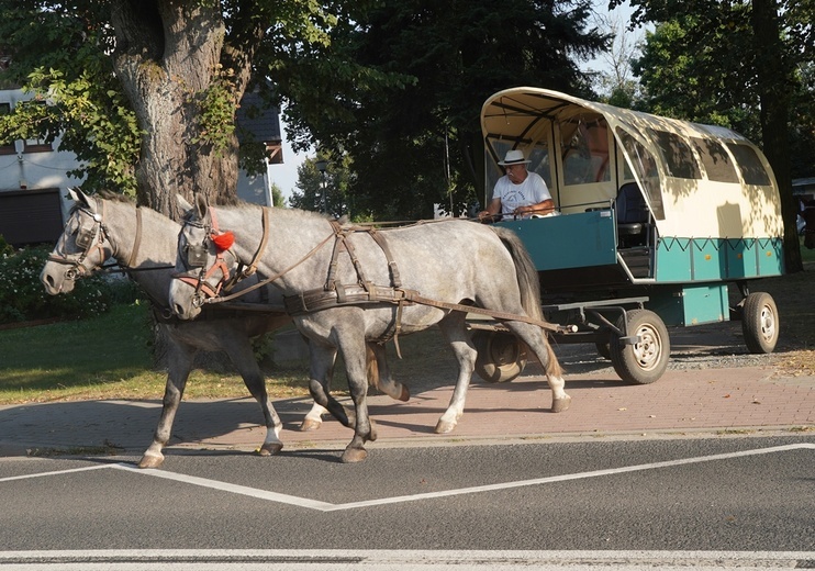 XVI Archidiecezjalna Pielgrzymka Sympatyków i Miłośników Koni