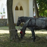 XVI Archidiecezjalna Pielgrzymka Sympatyków i Miłośników Koni