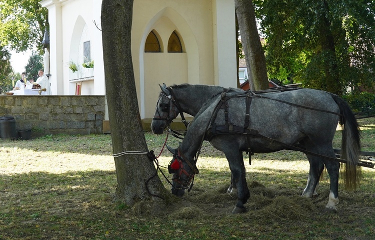 XVI Archidiecezjalna Pielgrzymka Sympatyków i Miłośników Koni