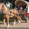 Łozina. Koniarskie dożynki