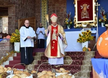 Diecezjalne dziękczynienie za plony w Kałkowie-Godowie