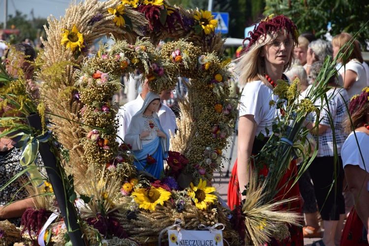 Dożynki diecezjalne w Kałkowie-Godowie