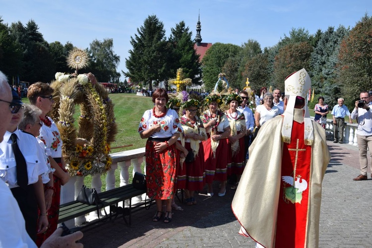 Dożynki diecezjalne w Kałkowie-Godowie