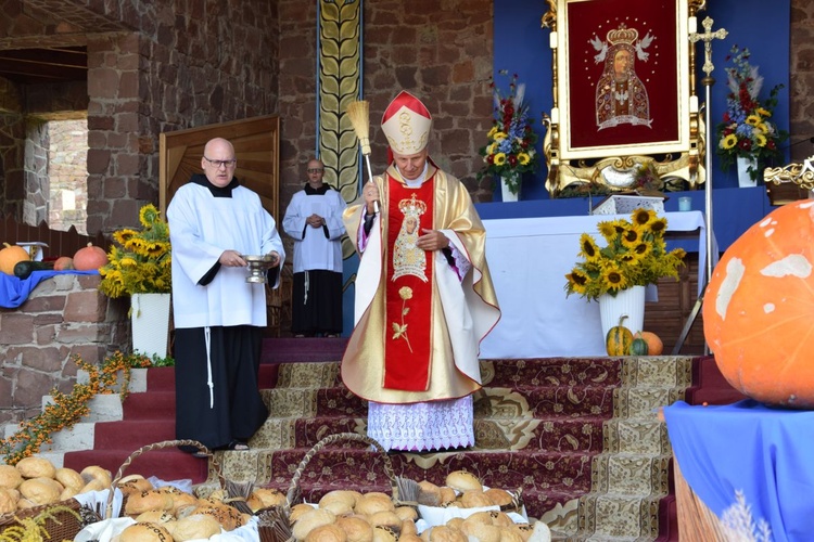 Dożynki diecezjalne w Kałkowie-Godowie