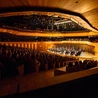 Bielsko-Biała. Powstała prywatna orkiestra symfoniczna - Cavatina Philharmonic Orchestra 