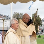 Pielgrzymka chorych do Lourdes - cz.7