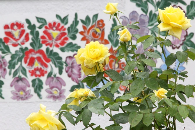 Malowane chaty w Zalipiu i Niwkach