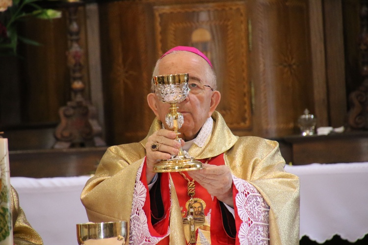 Płock. Obraz Jezusa Miłosiernego w kościele św. Jana Chrzciciela