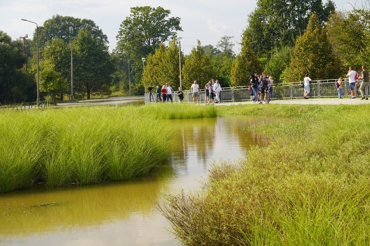 Obrona przed wodą we Wrocławiu-Stabłowicach