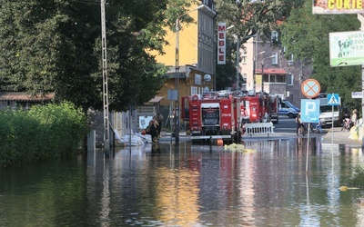 Bóbr w Żaganiu