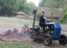 Radomski skansen zaprasza na Festiwal Ziemniaka