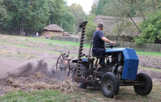 Radomski skansen zaprasza na Festiwal Ziemniaka