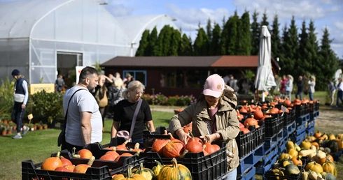 "Zupa dyniowa" dla hospicjum w Trzciance