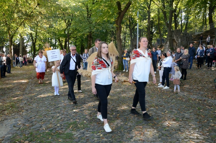 Diecezjalne Dożynki na Górze św. Anny