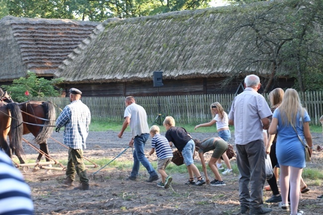 Festiwal Ziemniaka